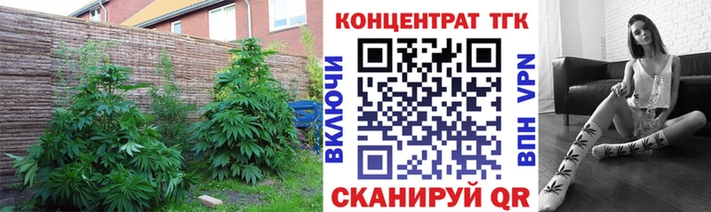 ТГК гашишное масло  Купить закладки  Новороссийск 