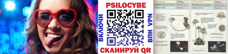 Псилоцибиновые грибы мухоморы  Купить где  Новороссийск 