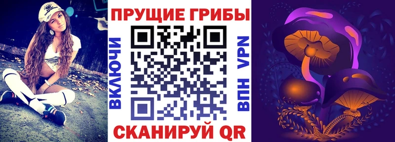 Галлюциногенные грибы прущие грибы Новороссийск
